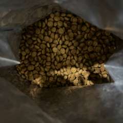 Фото отзыва 10761349