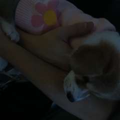 Фото отзыва 10704698