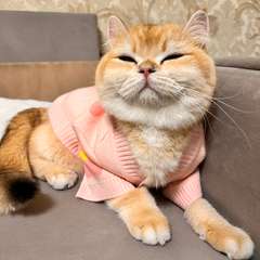 Фото отзыва 10581775