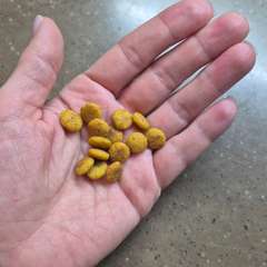 Фото отзыва 10542805