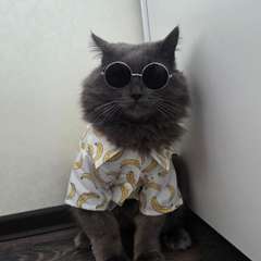 Фото отзыва 11067106