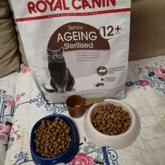 Фото отзыва 10560920