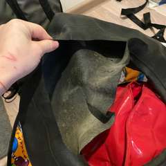 Фото отзыва 10957309