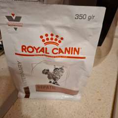 Фото отзыва 10776239