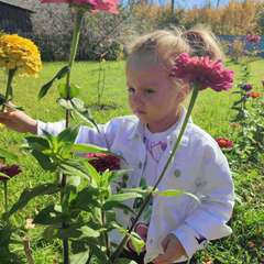 Фото отзыва 10838708