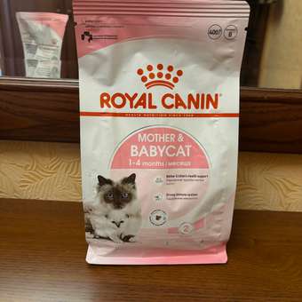 Корм для котят Royal Canin Mother and Babycat 400г: отзыв пользователя. Зоомагазин Зоозавр