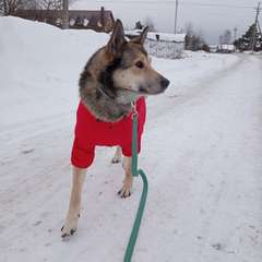 Фото отзыва 8291814