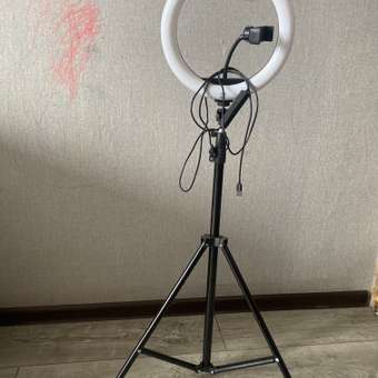Штатив Attivio трипод для кольцевой лампы: отзыв пользователя Детский Мир
