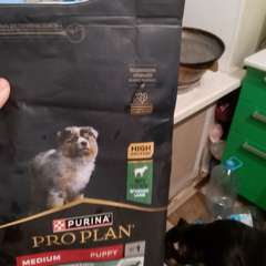 Фото отзыва 11007085