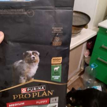 Корм сухой для щенков PRO PLAN SENSITIVE DIGESTION 1.5 кг с ягненком для средних пород: отзыв пользователя. Зоомагазин Зоозавр