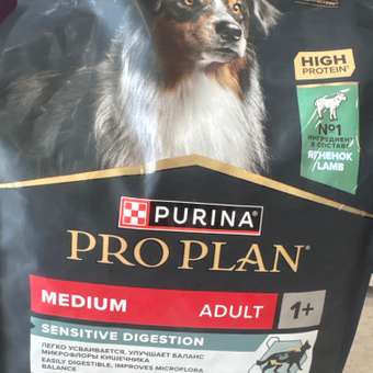 Корм сухой для собак PRO PLAN SENSITIVE DIGESTION 1.5 кг с ягненком для средних пород: отзыв пользователя. Зоомагазин Зоозавр