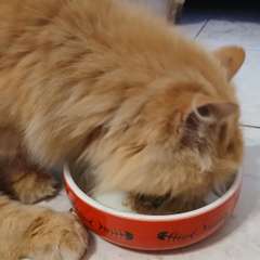 Фото отзыва 10282573