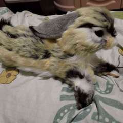 Фото отзыва 6877575