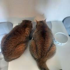 Фото отзыва 10713199