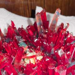 Фото отзыва 10821200