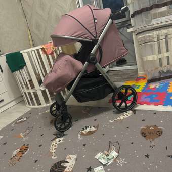 Коляска прогулочная Babyton Cruise Purple розовый: отзыв пользователя Детский Мир