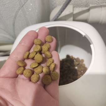 Корм для кошек ROYAL CANIN Gastrointestinal Moderate Calorie при расстройствах пищеварения 350г: отзыв пользователя. Зоомагазин Зоозавр