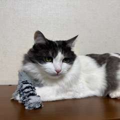 Фото отзыва 8680772