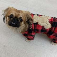 Фото отзыва 10764106