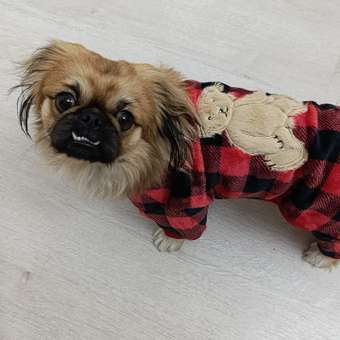 Комбинезон для собак и кошек Зоозавр: отзыв пользователя. Зоомагазин Зоозавр