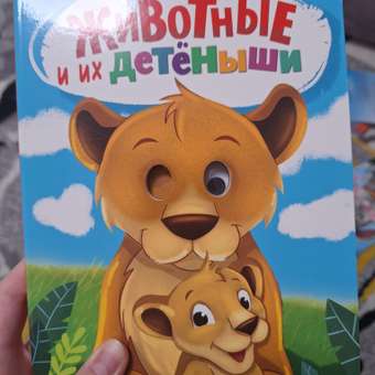 Книжки Проф-Пресс картонные с глазками 3 шт. Животные и детёныши+Песенка Львёнка+Сорока белобока: отзыв пользователя Детский Мир