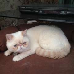 Фото отзыва 10878068