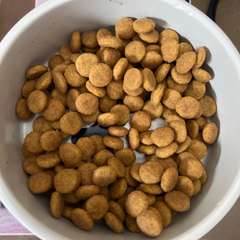 Фото отзыва 10987999