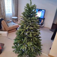 Фото отзыва 10790755