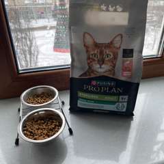 Фото отзыва 10893957