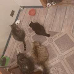 Фото отзыва 10583715