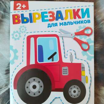 Рабочая тетрадь СТРЕКОЗА Для мальчиков 2 вырезалки: отзыв пользователя Детский Мир