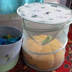 Фото отзыва 11259689