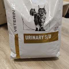 Фото отзыва 10613342