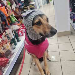 Фото отзыва 10861765