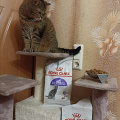 Фото отзыва 10759440