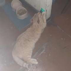 Видео отзыва 7793375