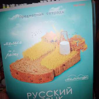 Тетрадь Prof-Press 48 лист. (Русский язык): отзыв пользователя ДетМир