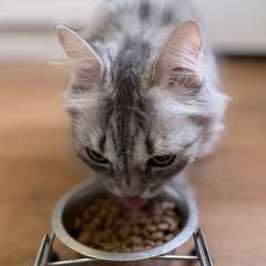 Фото отзыва 10923200