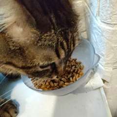 Фото отзыва 10900519