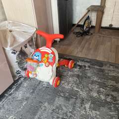 Фото отзыва 11262637