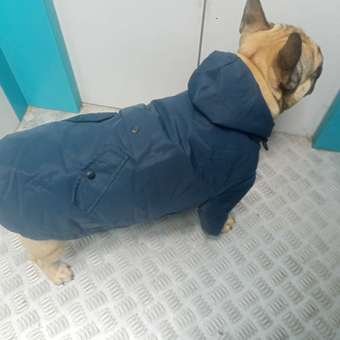 Куртка для собак Zoozavr тёмно-синяя 45: отзыв пользователя. Зоомагазин Зоозавр