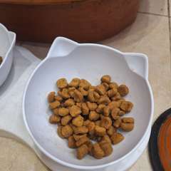 Фото отзыва 10690804