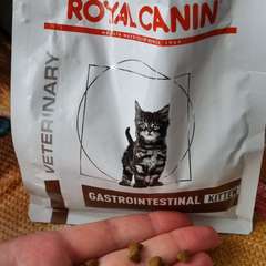 Фото отзыва 10909458