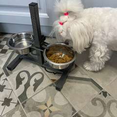 Фото отзыва 10816055