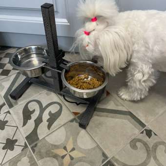 Корм для собак ROYAL CANIN Ньютрид Эдалт Смол Догз 3.5кг: отзыв пользователя. Зоомагазин Зоозавр