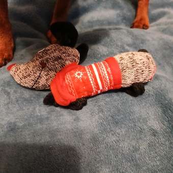 Игрушка для собак GiGwi X-mas Tales Собачка с пищалкой 25см: отзыв пользователя. Зоомагазин Зоозавр