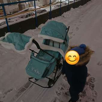 Санки-коляска Ника: отзыв пользователя Детский Мир