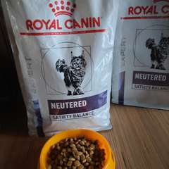 Фото отзыва 10979112