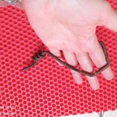 Фото отзыва 10847083