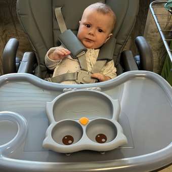Стульчик для кормления BabyGo Sweet Meals New серый: отзыв пользователя ДетМир